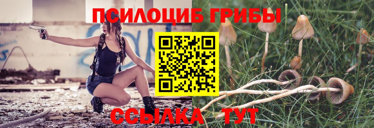 что такое   Галлюциногенные грибы прущие грибы  Вход с VPN  Ишим 